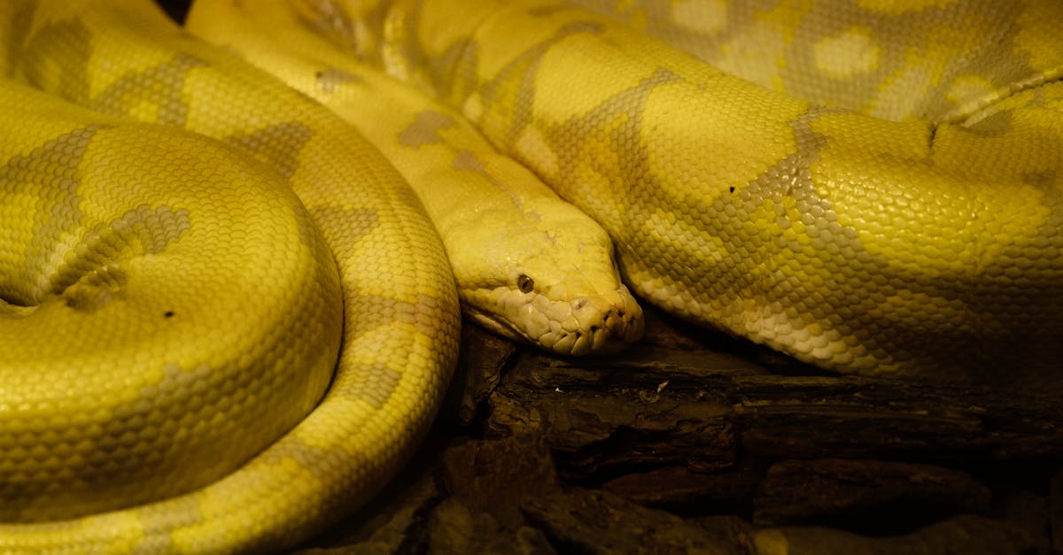 公益心與環保情結合 國際扶輪3501新竹區熱血捐1360袋