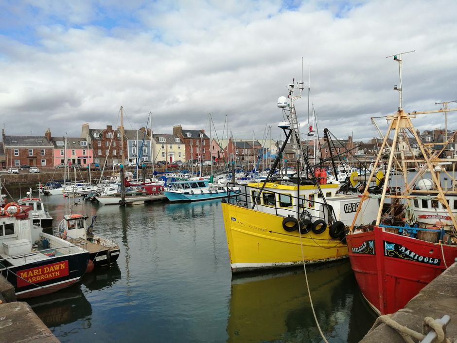 Pittenweem — view 1