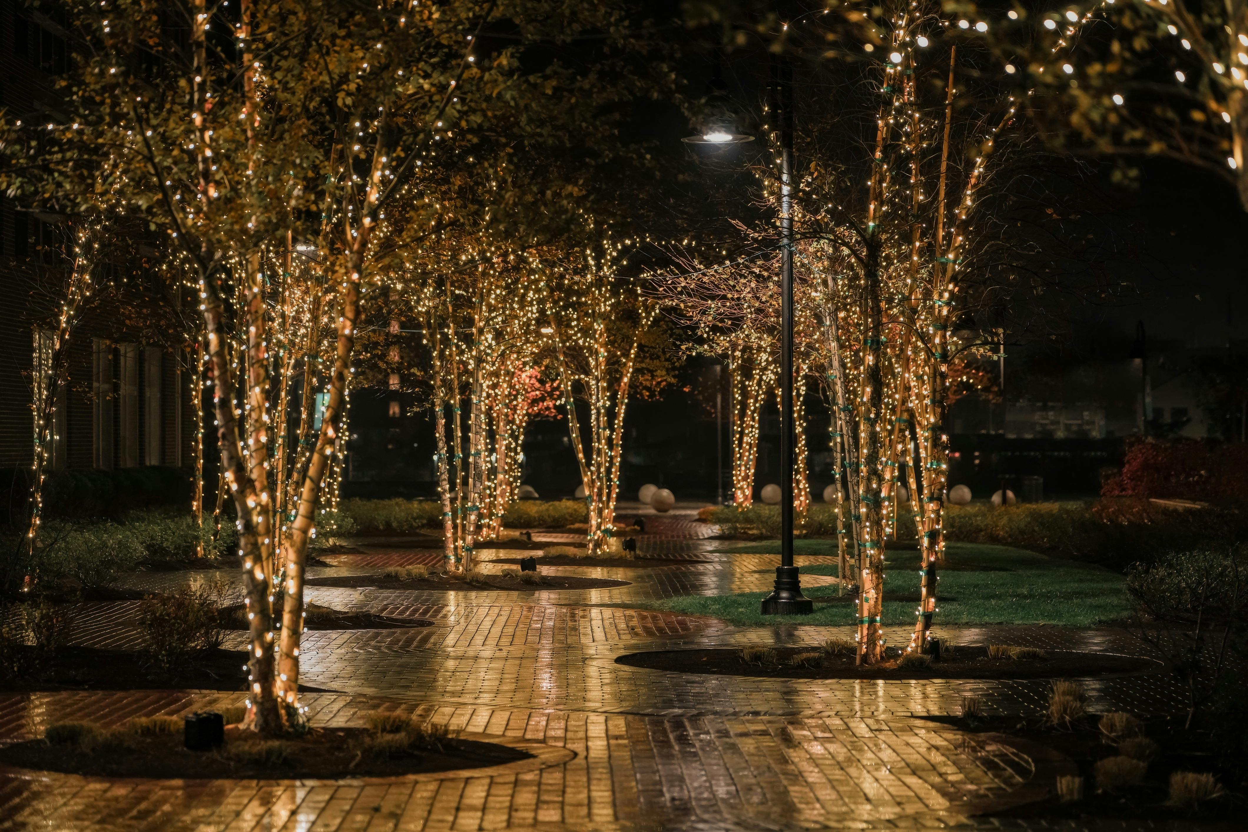 Augusta University unveils new outdoor recreation center — Photo by Cara Denison on Pexels