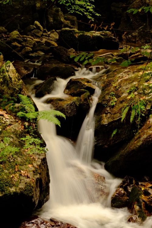 Free A tranquil waterfall cascades over rocks in a dense forest, creating a peaceful natural scene. Stock Photo
