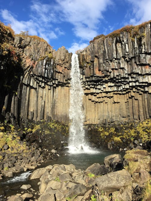 Gratis arkivbilde med foss, island