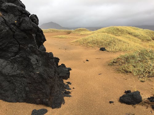 Gratis arkivbilde med mørk, sand, strand