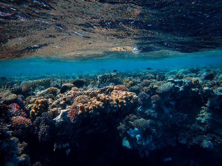 Fotos de Arrecife, Las Palmas, Canarias