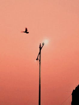 A serene scene of a bird flying past a glowing street lamp at twilight against a pink sky.