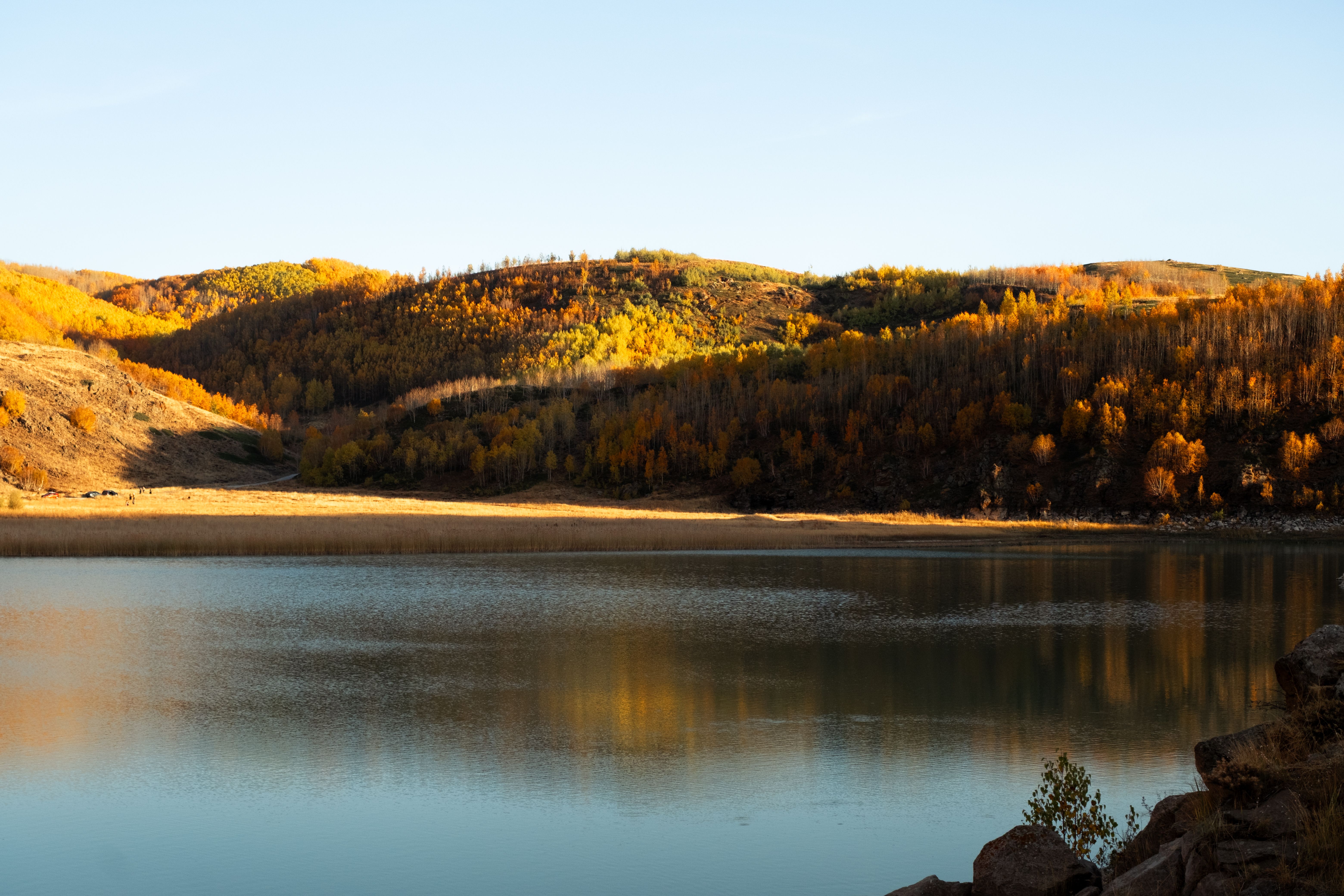 Serene Autumn Landscape Reflected in Lake · Free Stock Photo