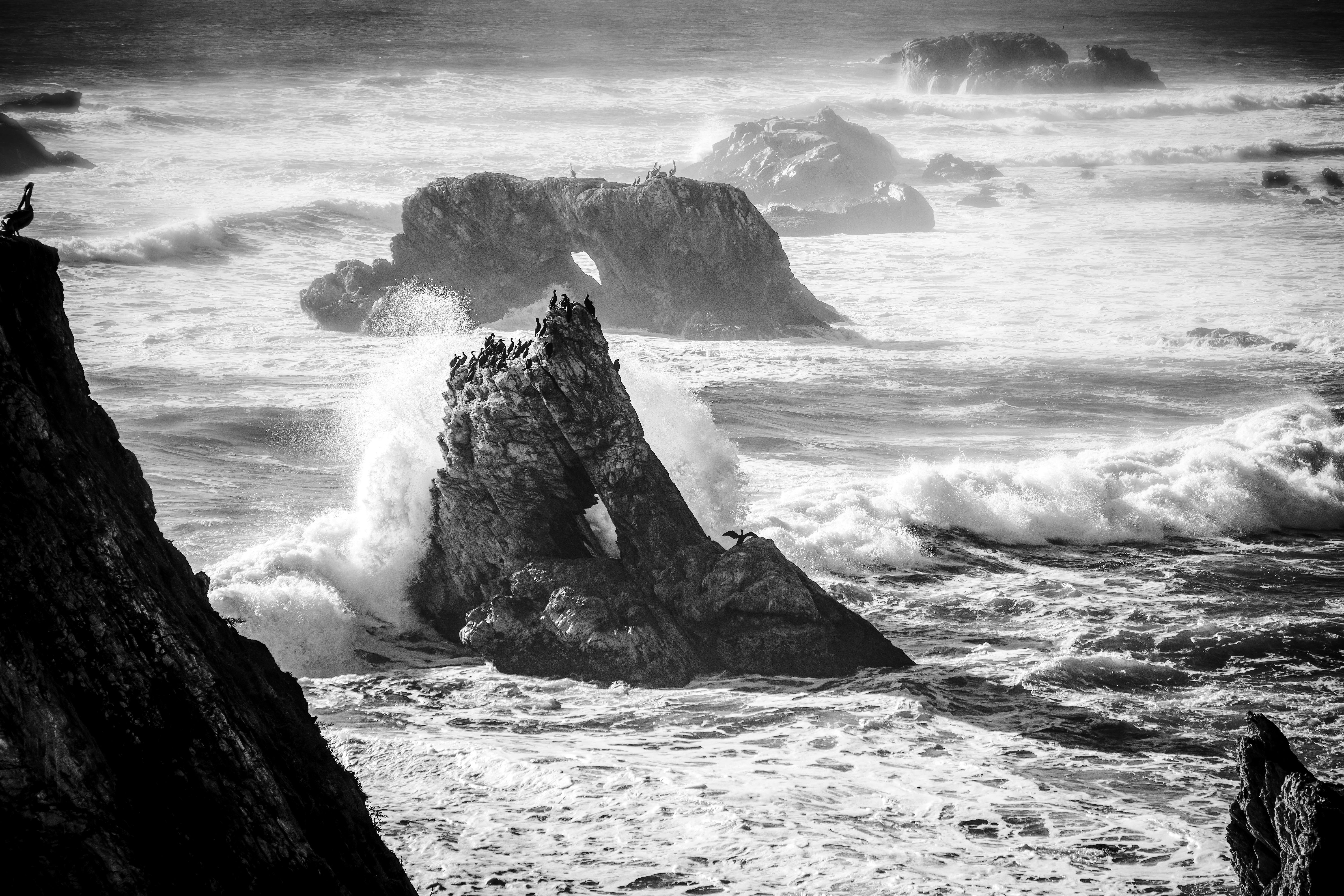 Easy Power Smoothies for Fat Burning