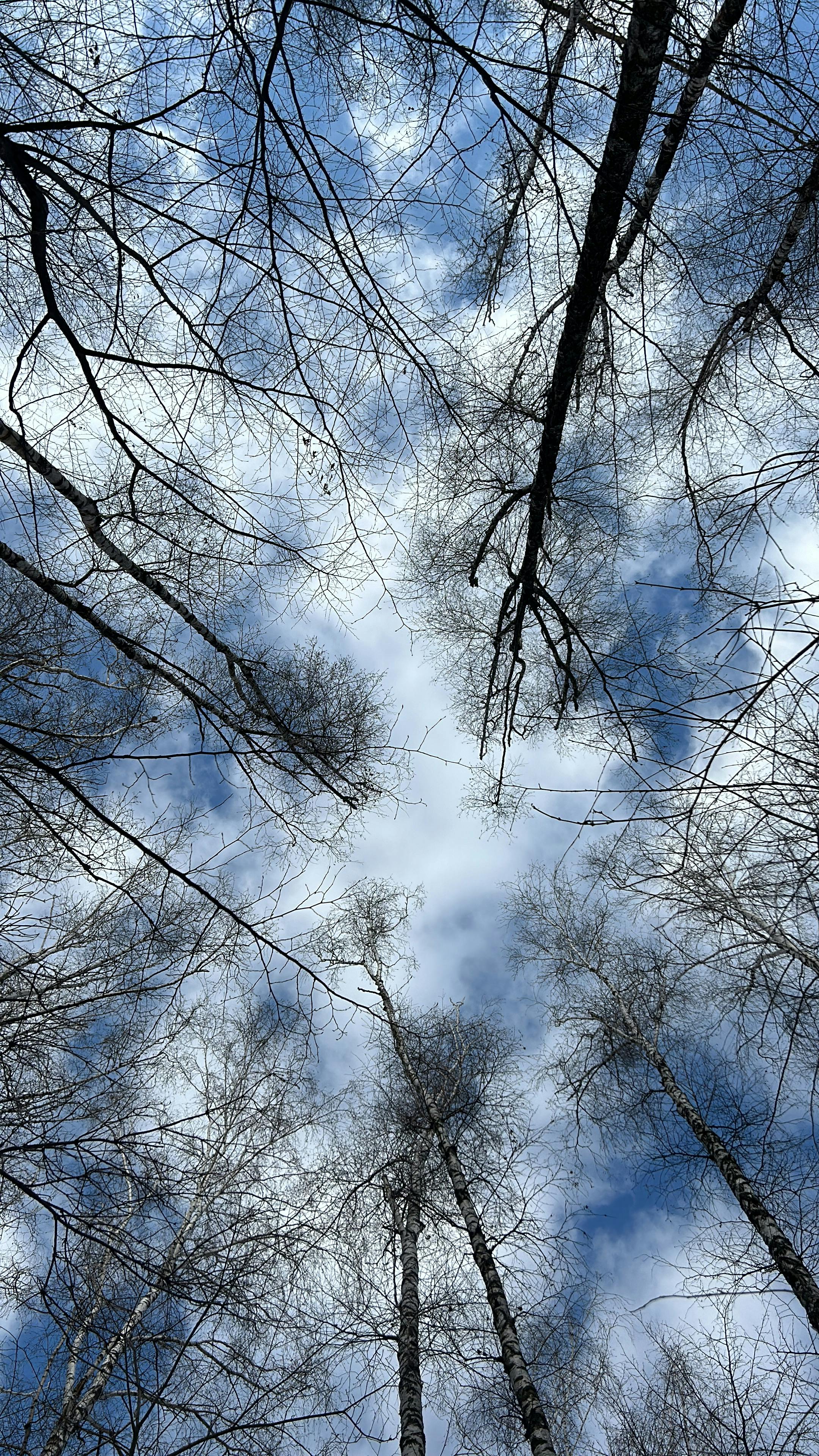 The iPhone Camera Hack: How I Turned Photo Frustrations into Flawless Snaps