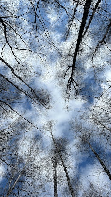 The iPhone Camera Hack: How I Turned Photo Frustrations into Flawless Snaps The iPhone Camera Hack: How I Turned Photo Frustrations into Flawless Snaps