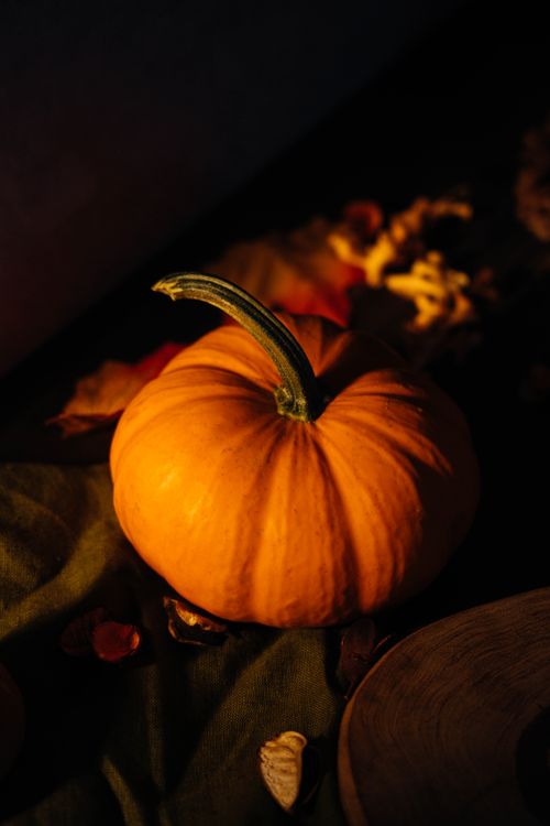 Free Warm, moody still life of an autumn pumpkin with seasonal fall colors. Stock Photo