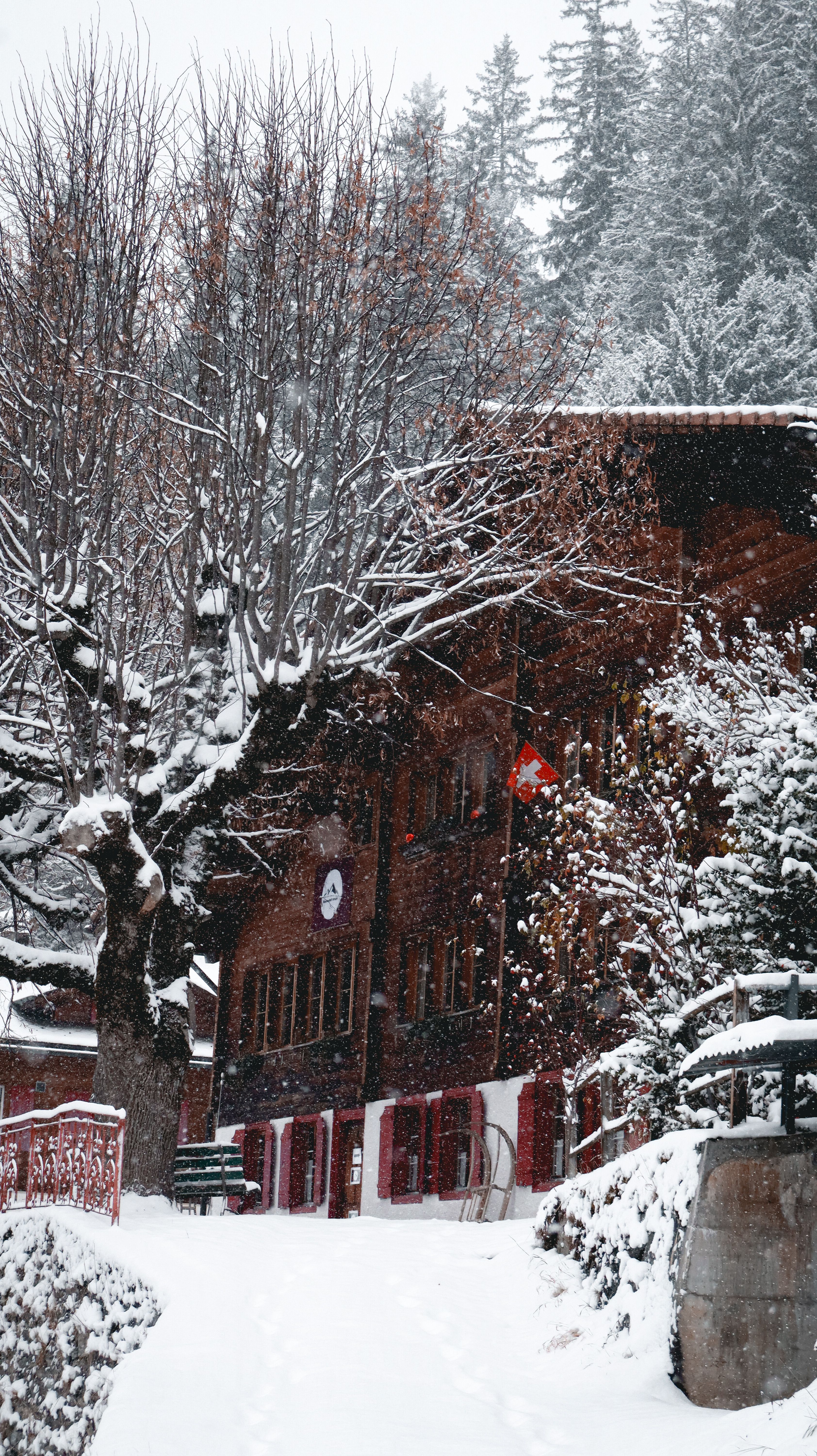 Snowy Winter Scene with Rustic Chalet and Trees · Free Stock Photo