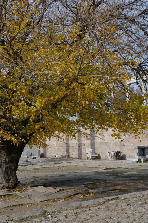 Free A scenic view of ancient ruins in Bergama, İzmir with a vibrant autumn tree. Stock Photo