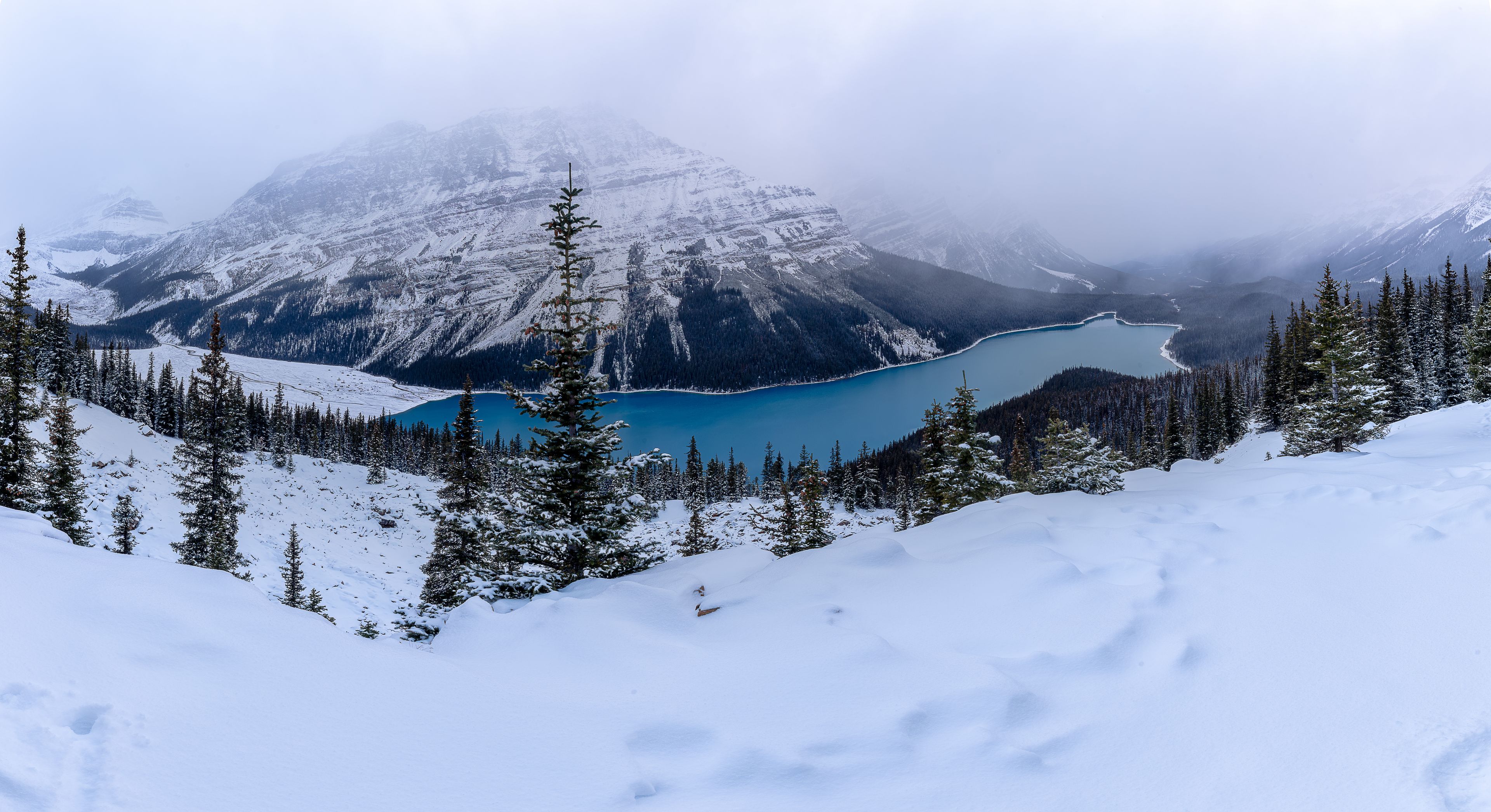 Lake Peyto Winter