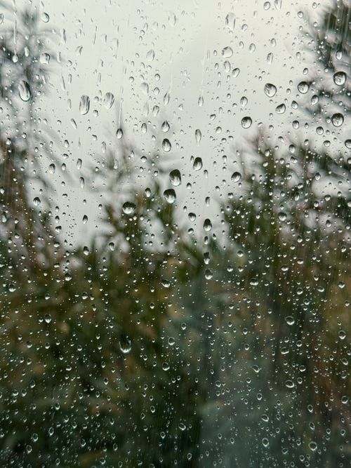 Free Raindrops on window with blurred forest background in rainy weather. Stock Photo