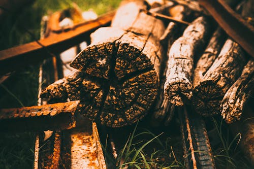 Free stock photo of farm, wood