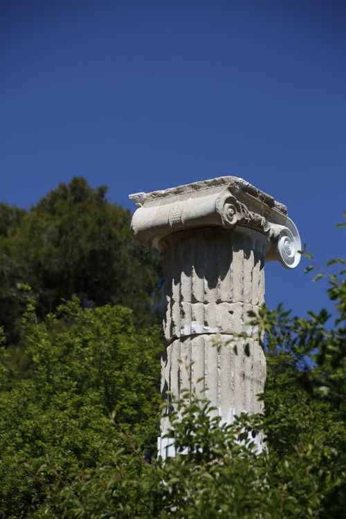 Free Elevated view of an ancient Ionic column surrounded by lush greenery under a clear blue sky. Stock Photo