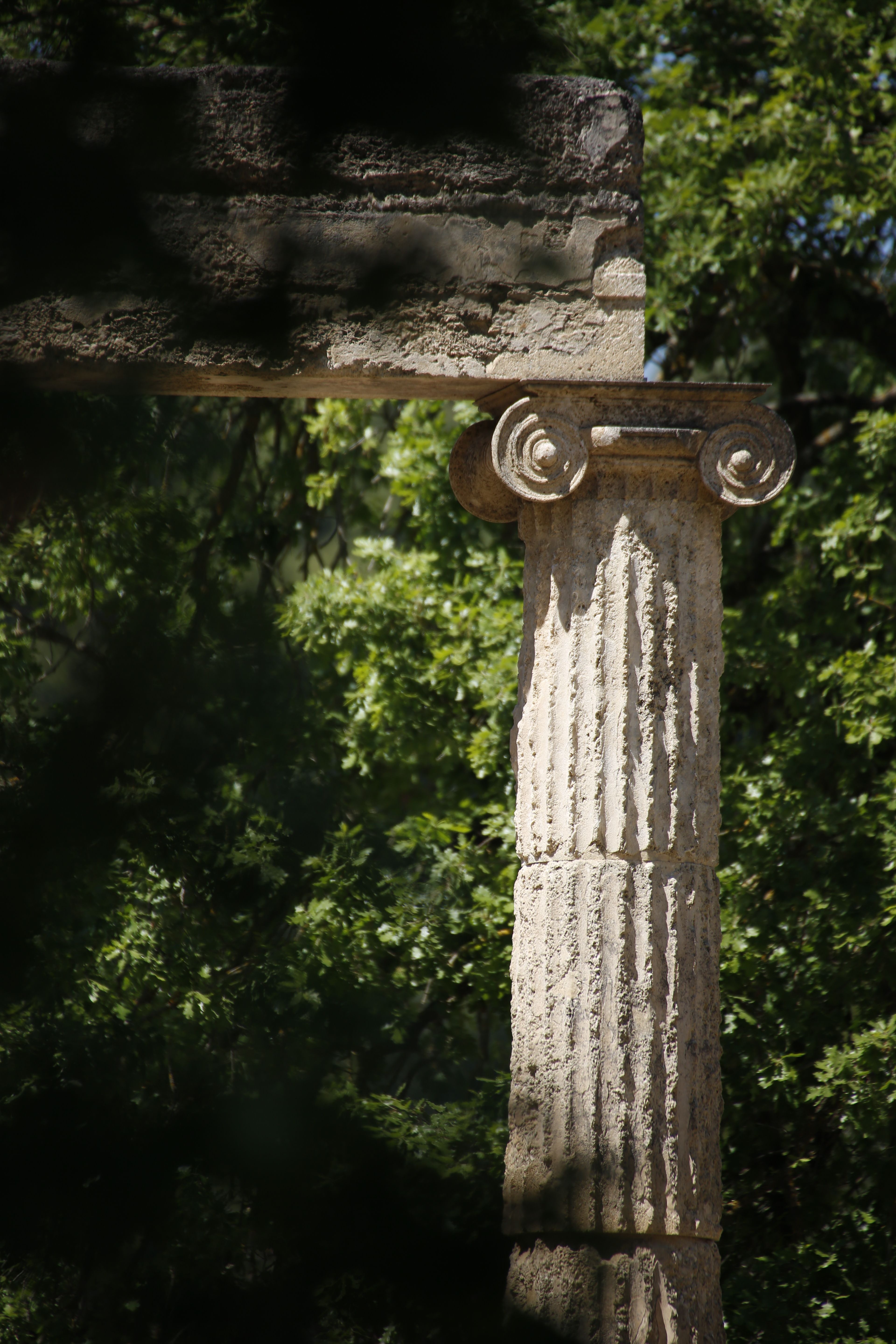 Ancient Stone Column in Lush Greenery · Free Stock Photo