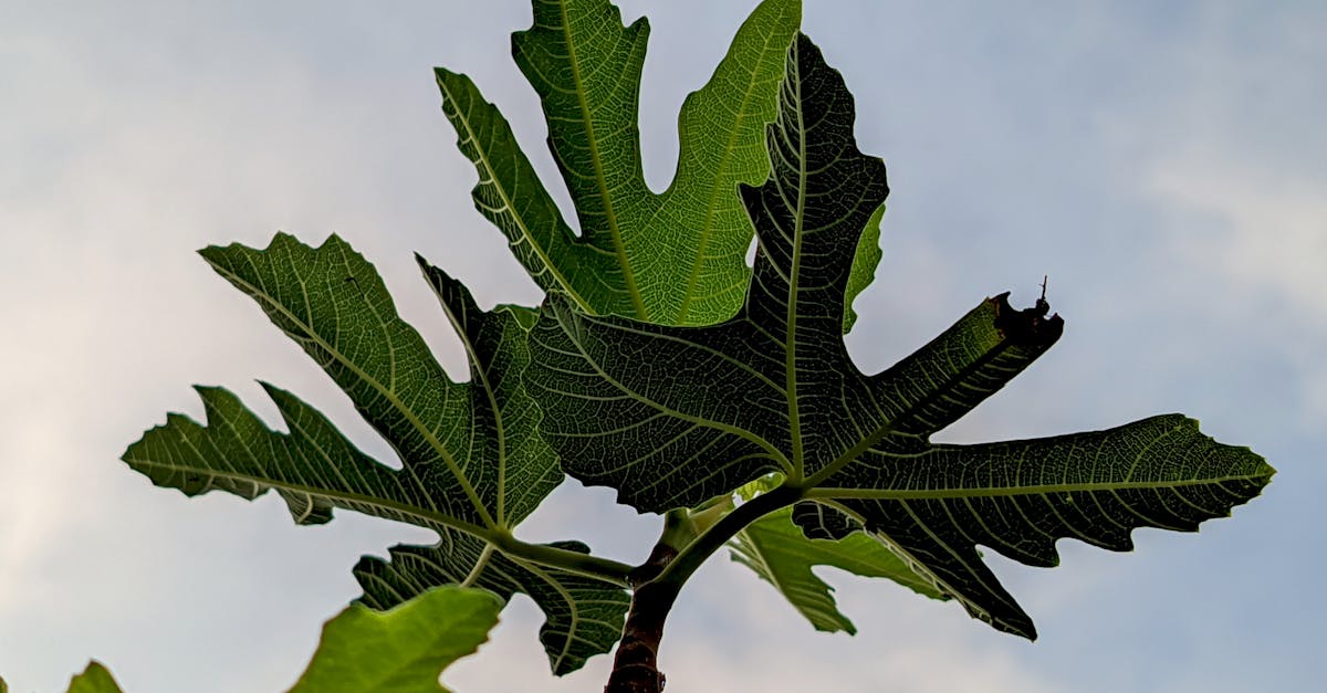 財經:喬山旺季業績看俏 股價強勢反彈引關注