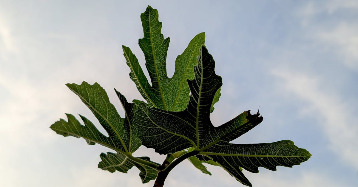 財經:喬山旺季業績看俏 股價強勢反彈引關注