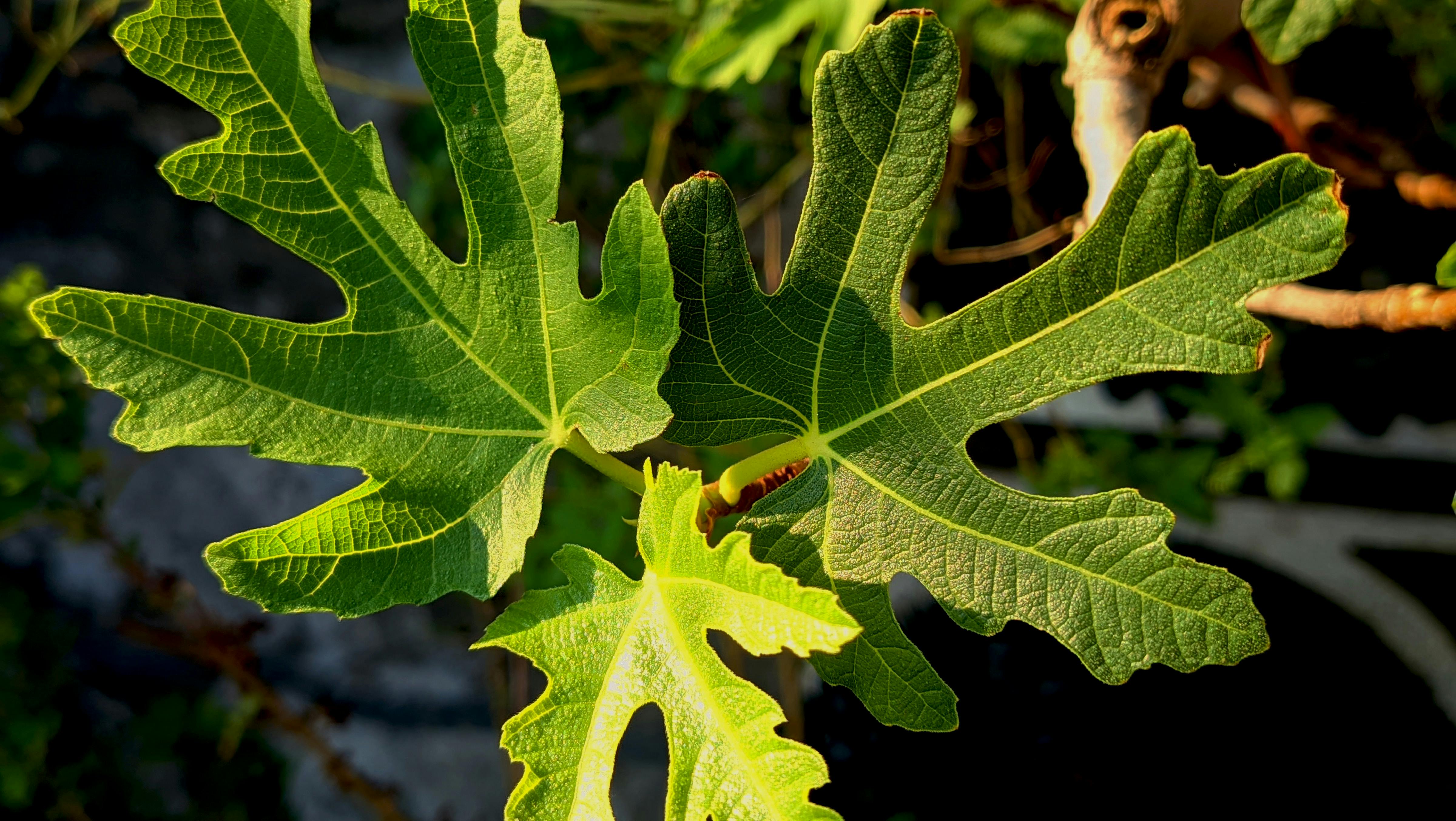財經：喬山旺季業績看俏 股價強勢反彈引關注