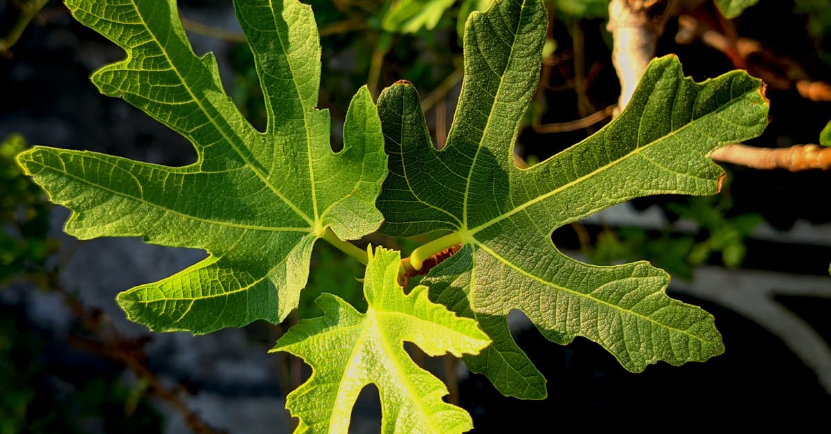 財經:喬山旺季業績看俏 股價強勢反彈引關注