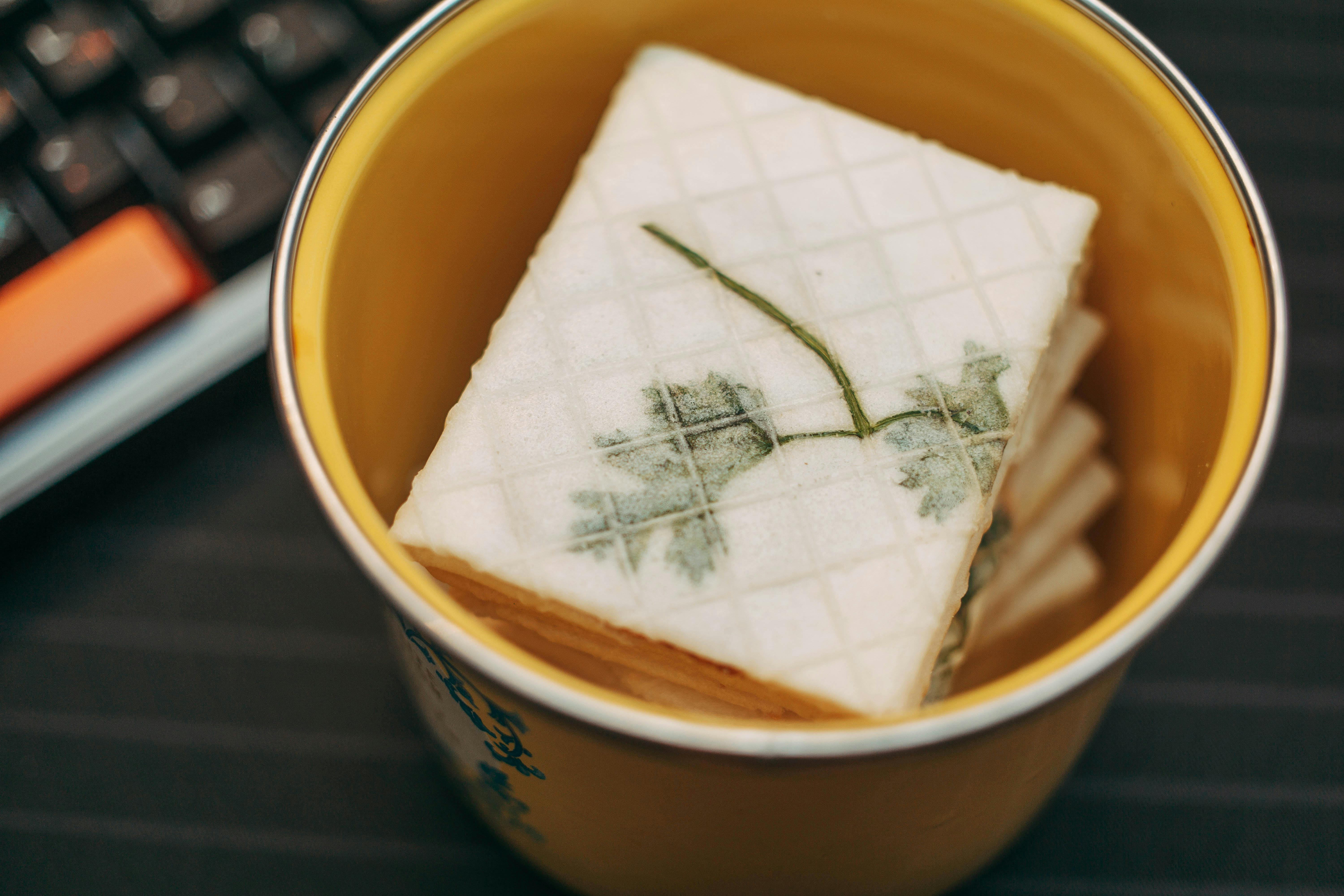 崑大餐飲系跨文化料理驚豔國際評審 2025台北國際廚藝賽勇奪10獎