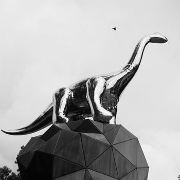 Ark