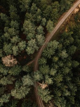 Drone shot of a winding road through lush green forest, perfect for nature and travel themes.