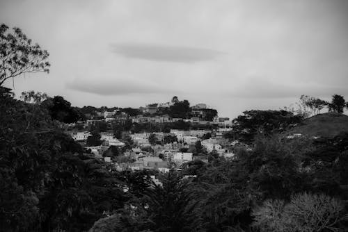 Grayscale Photography of Trees Near Houses