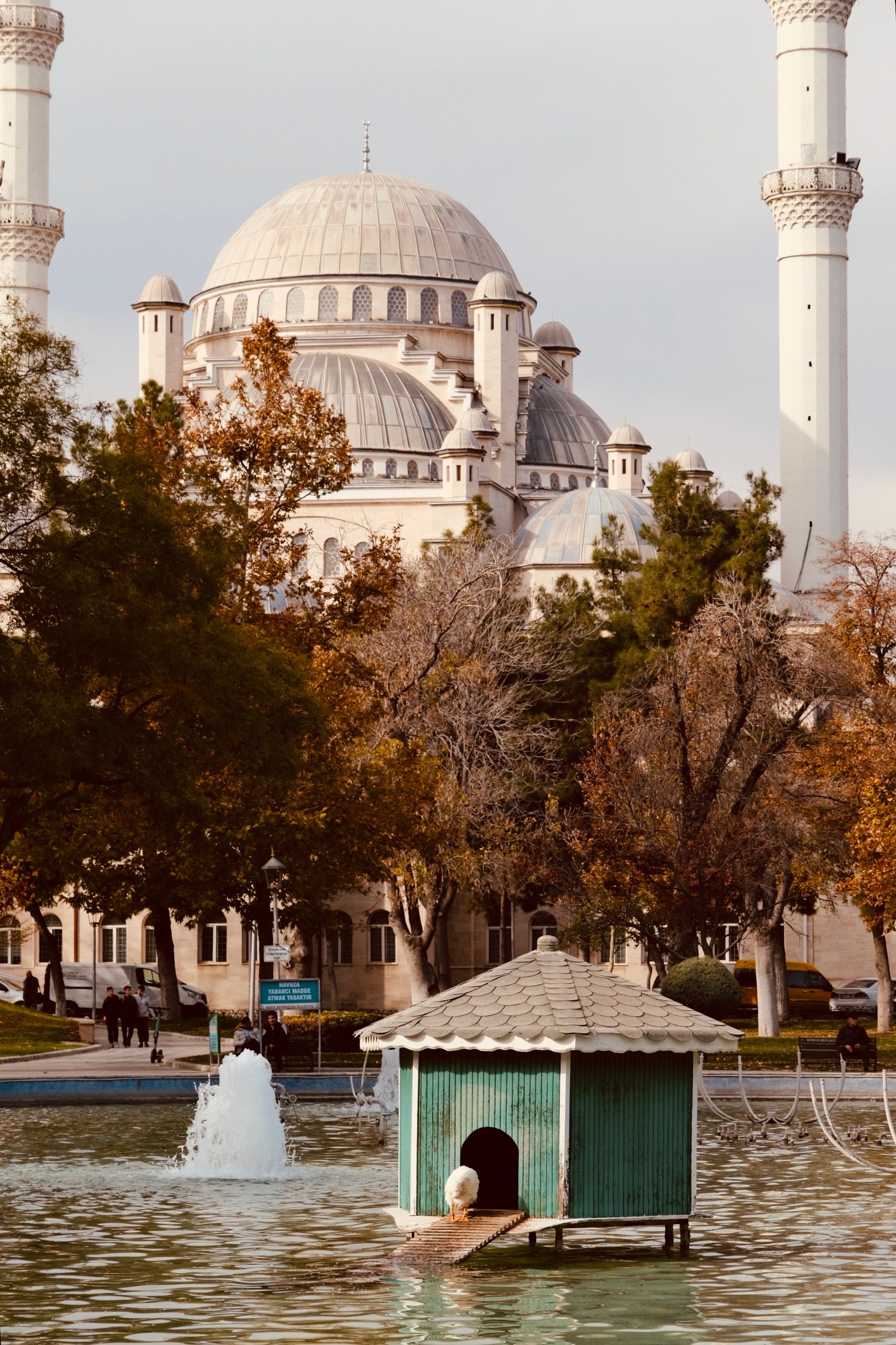 Beautiful Mosque by Tranquil Park Pond · Free Stock Photo