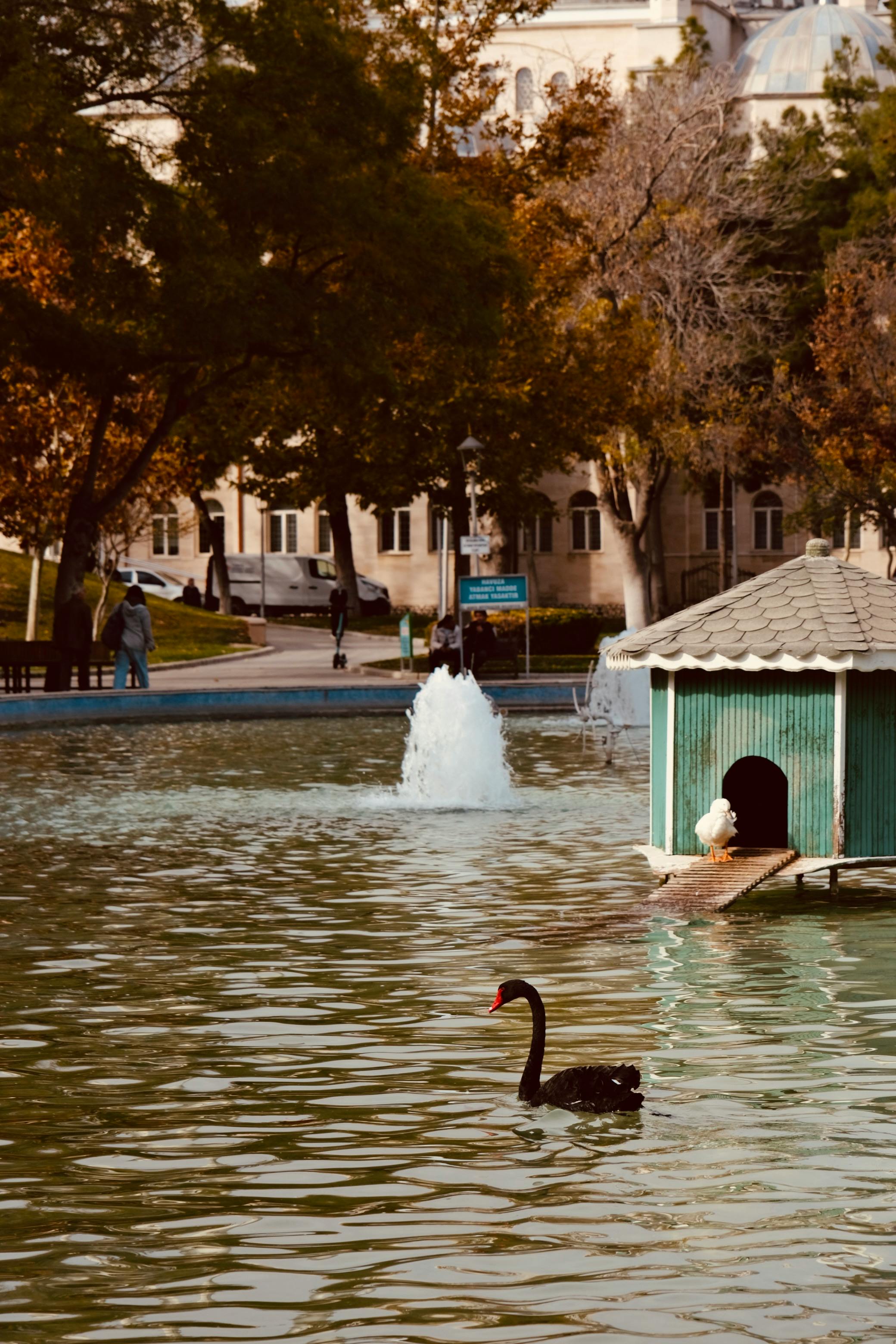 Scene+To+Scene Photos, Download The BEST Free