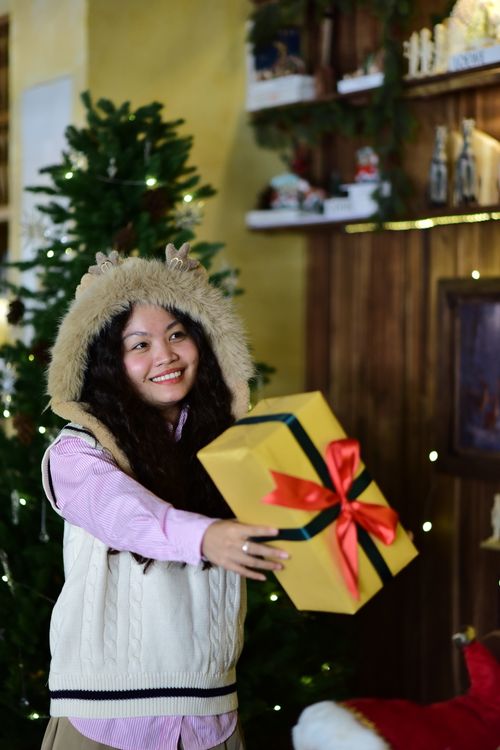 Free Smiling young woman in a festive room handing over a beautifully wrapped Christmas present. Stock Photo