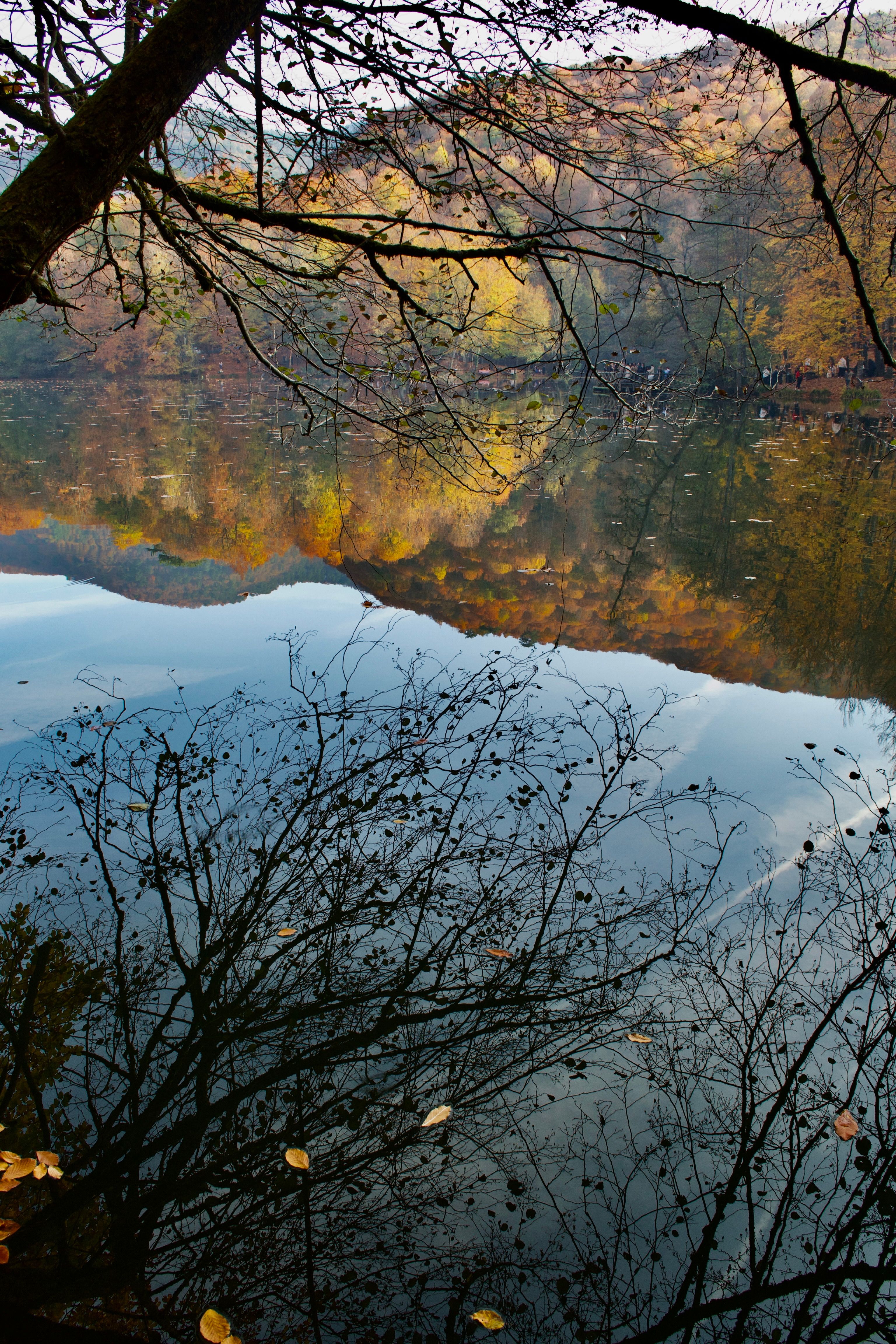 Serene Autumn Reflection on Tranquil Lake · Free Stock Photo