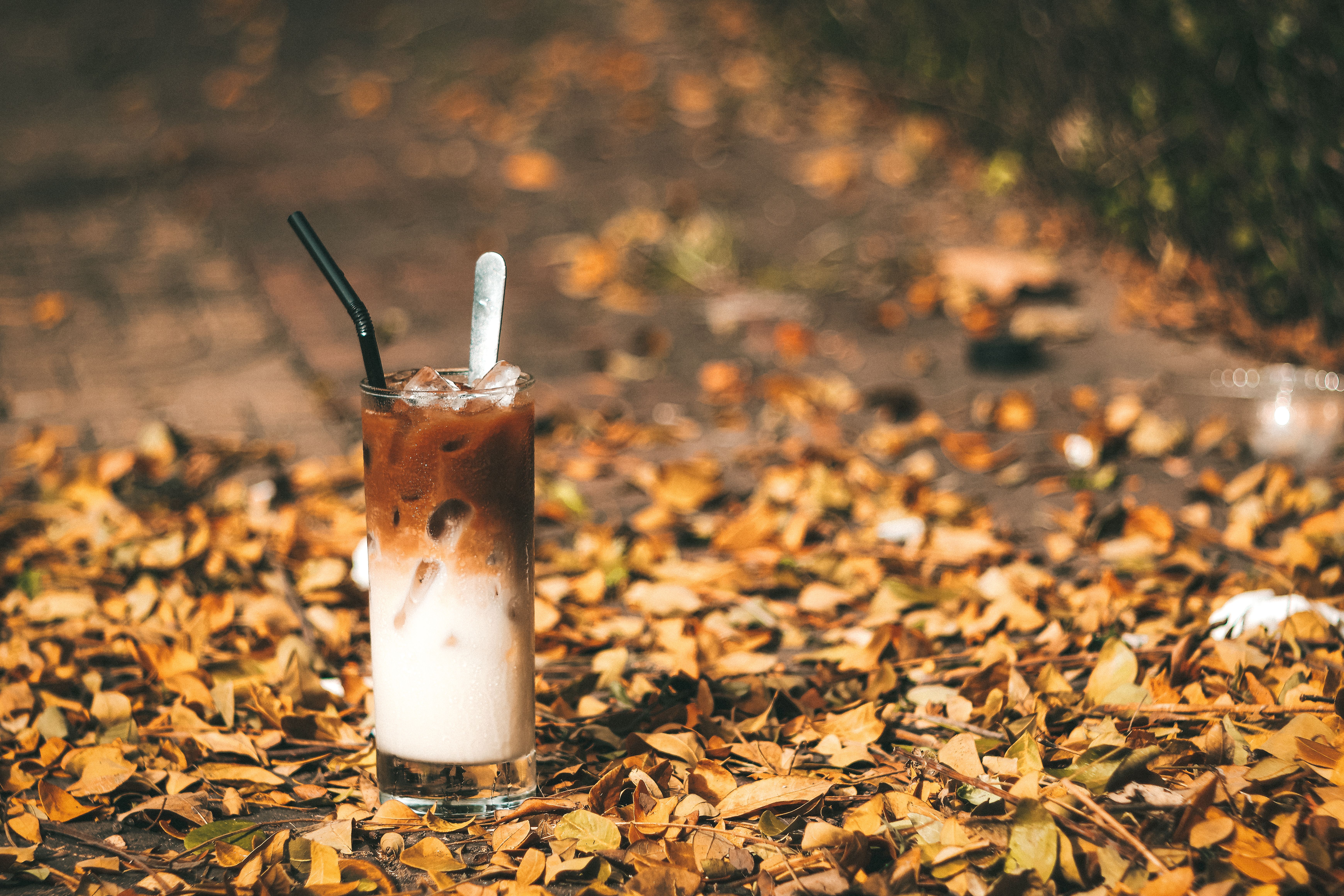 Glasses of iced coffee drinks with different milk types