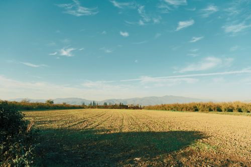 Free A vast open field under a clear blue sky with distant mountains on a sunny day. Stock Photo