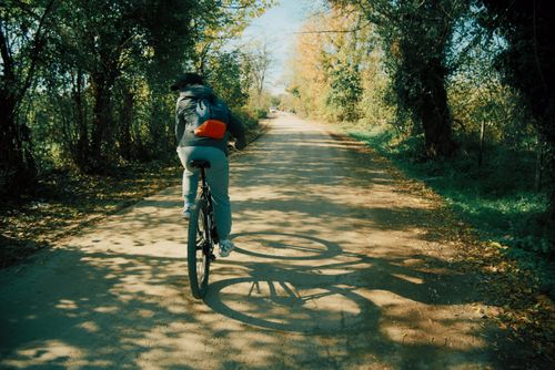 Free A lone cyclist rides through a picturesque forest path on a sunny autumn day. Stock Photo