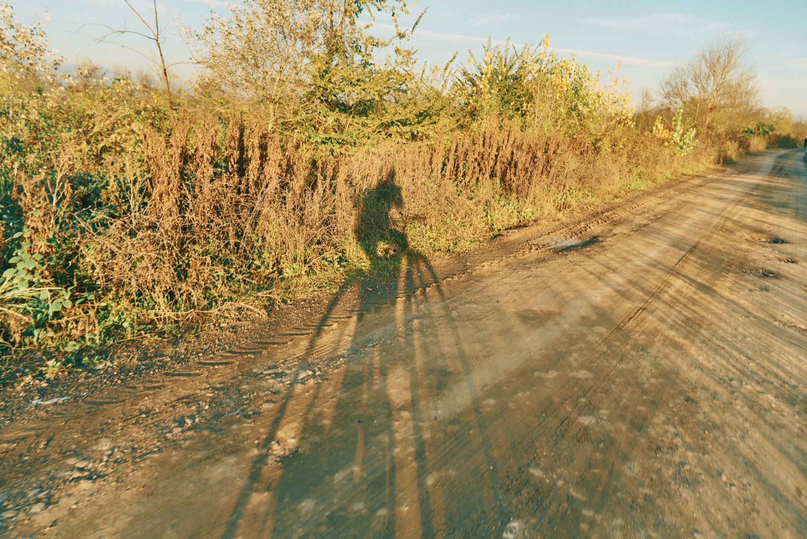 Long shadow of a gravel cyclist on a rutted dirt road at golden hour