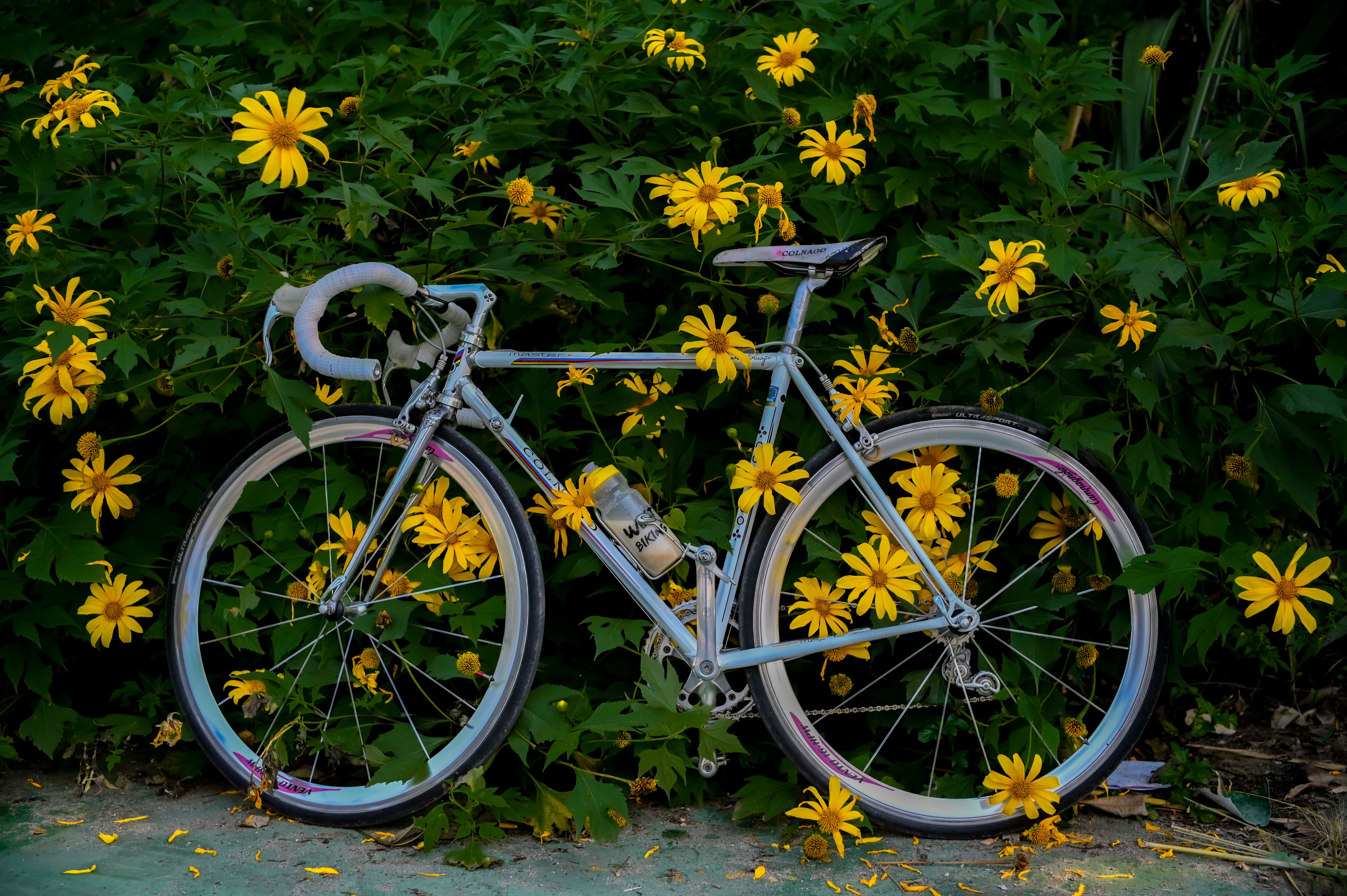 Ridley Unveils Kanzo Fast 2.0 Gravel Racer with Aero Focus