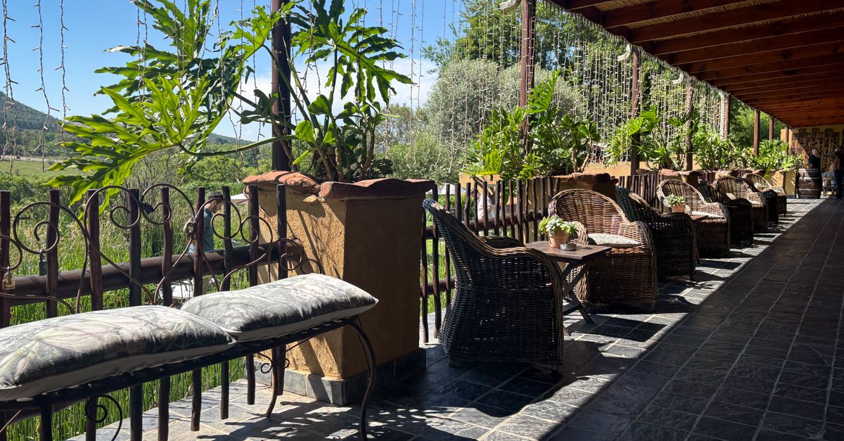 A Guide to Transforming Your Outdoor Spaces