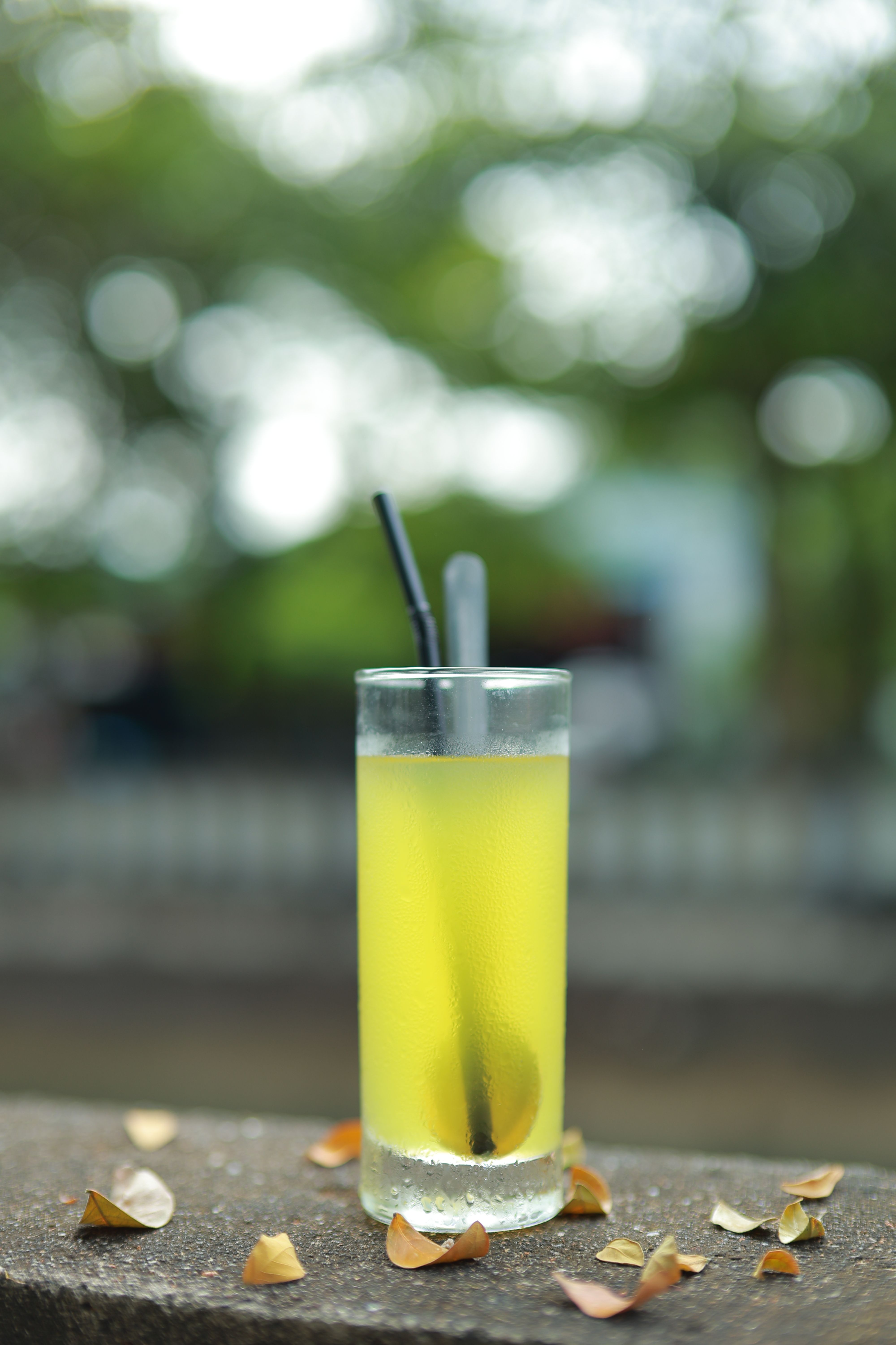 Cool Setting Photos, Download The BEST Free Cool Setting Stock Photos ...
