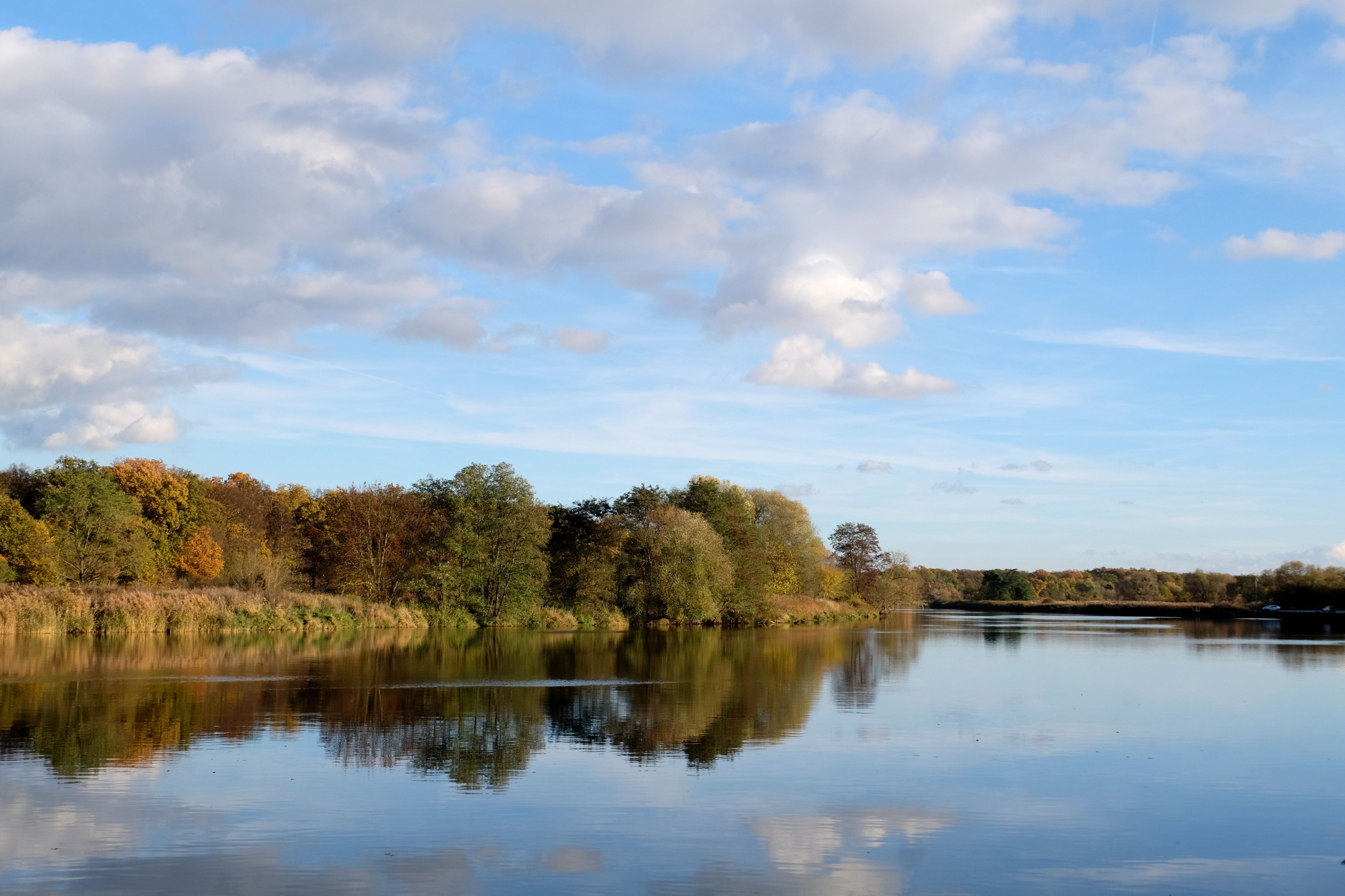 Serene Autumn Lake Reflection Scene · Free Stock Photo