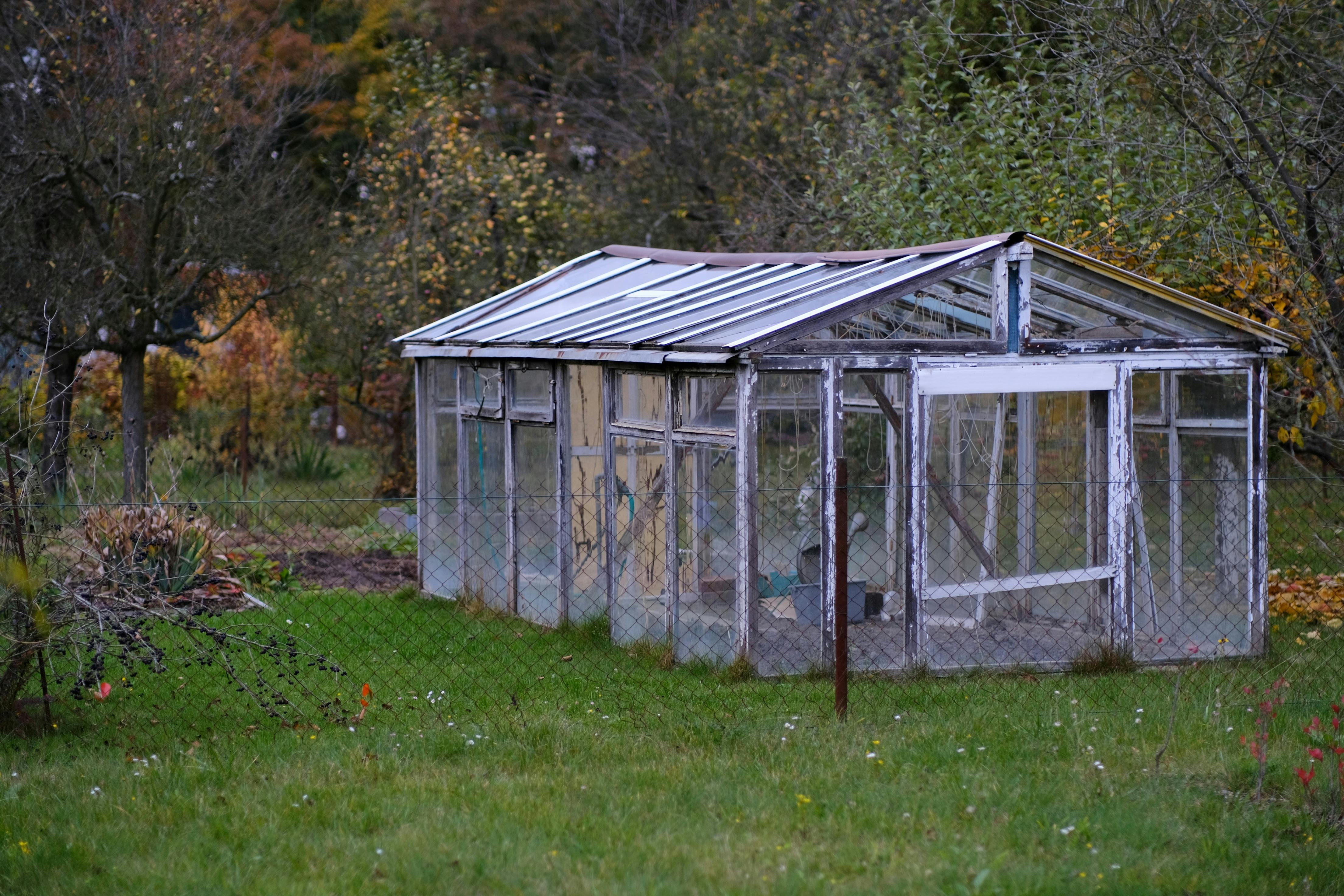 A weathered greenhouse amidst an autumn garden with trees and grass.