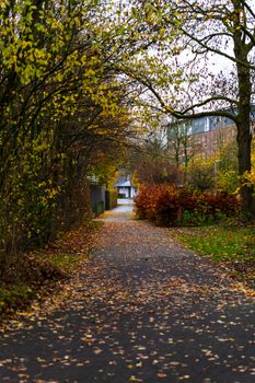 Image by SK Strannik