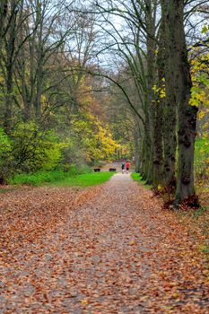 A serene autumnal path with joggers running through vibrant fall foliage.