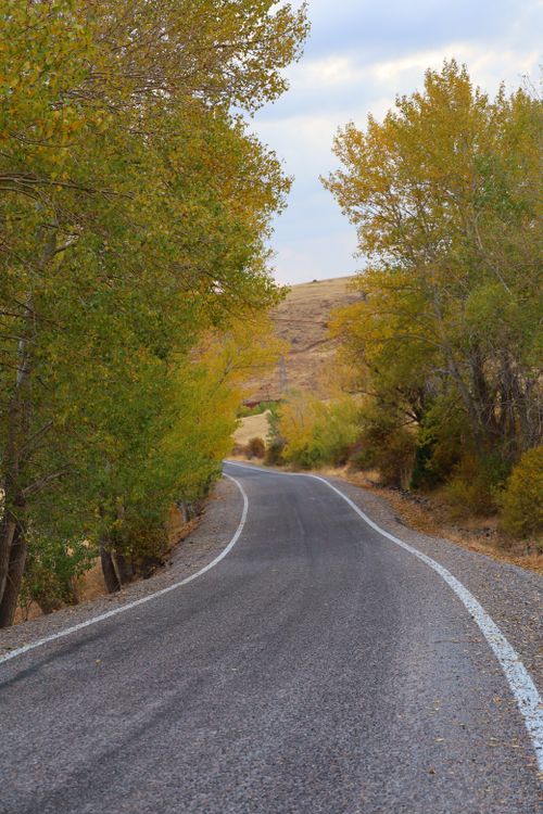 Free Winding road flanked by autumn trees under a cloudy sky. Stock Photo