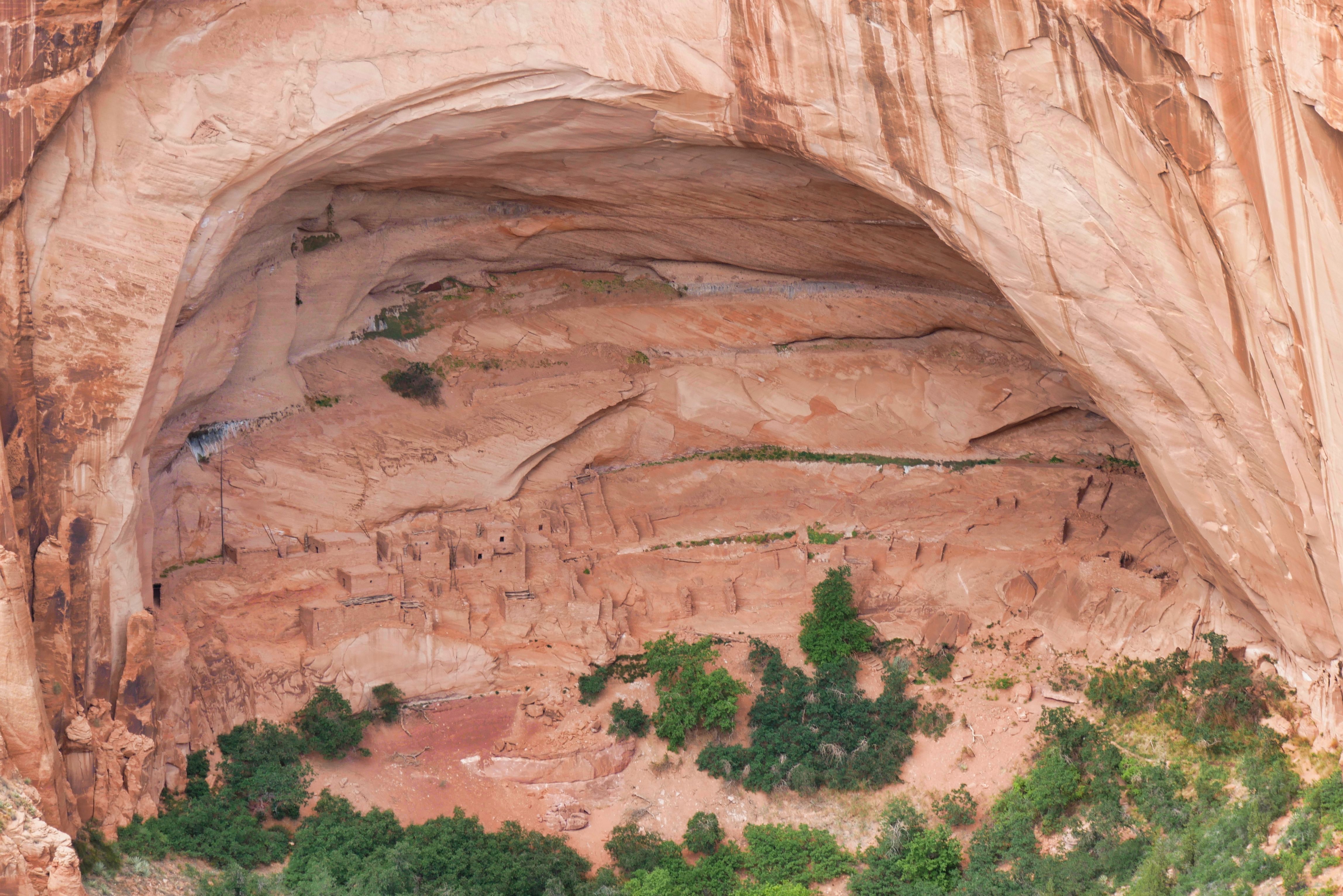 Ancient Cliff Dwellings in Canyon Landscape · Free Stock Photo