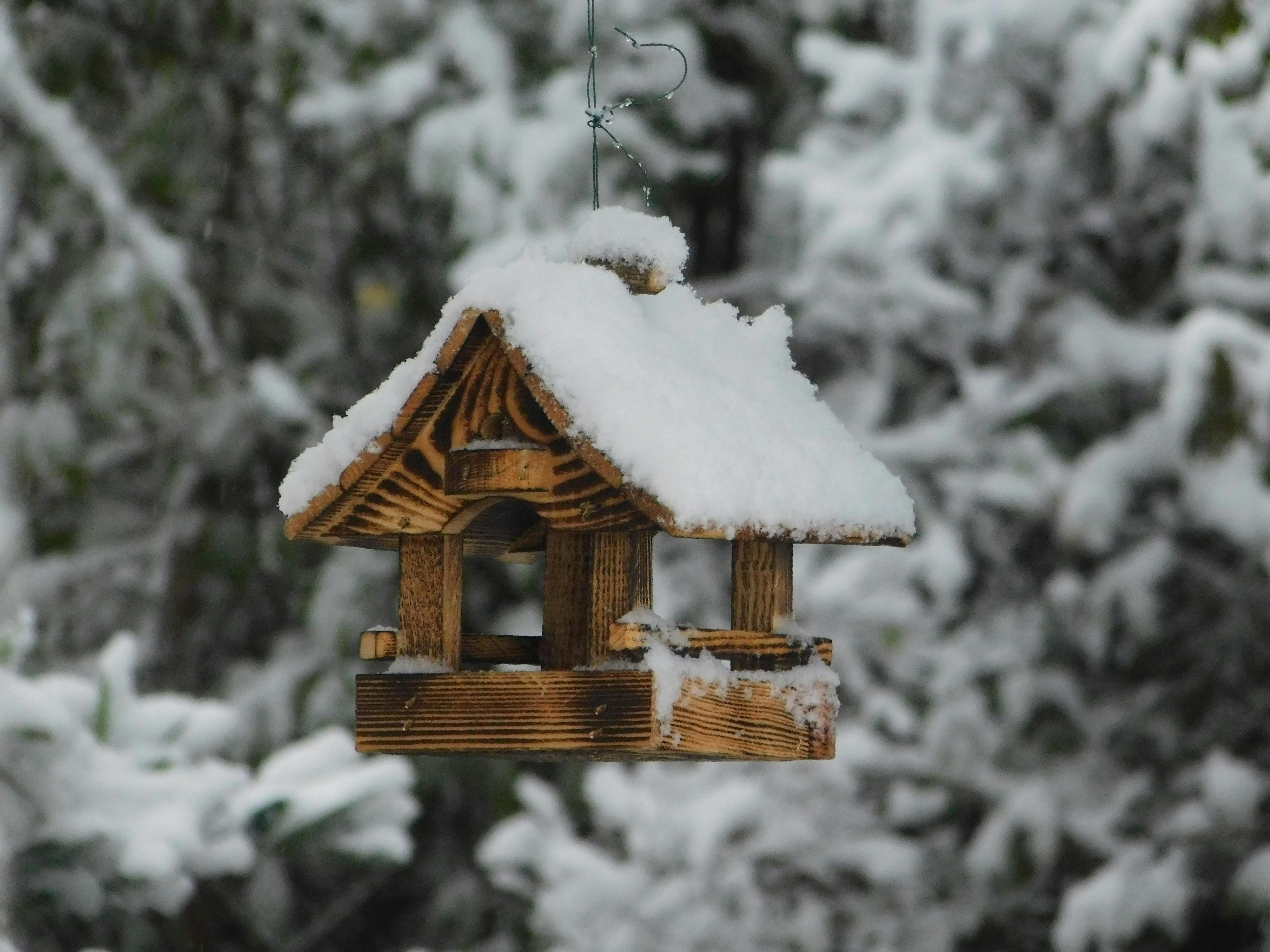A rustic wooden birdhouse covered in snow amidst a snowy forest backdrop.
