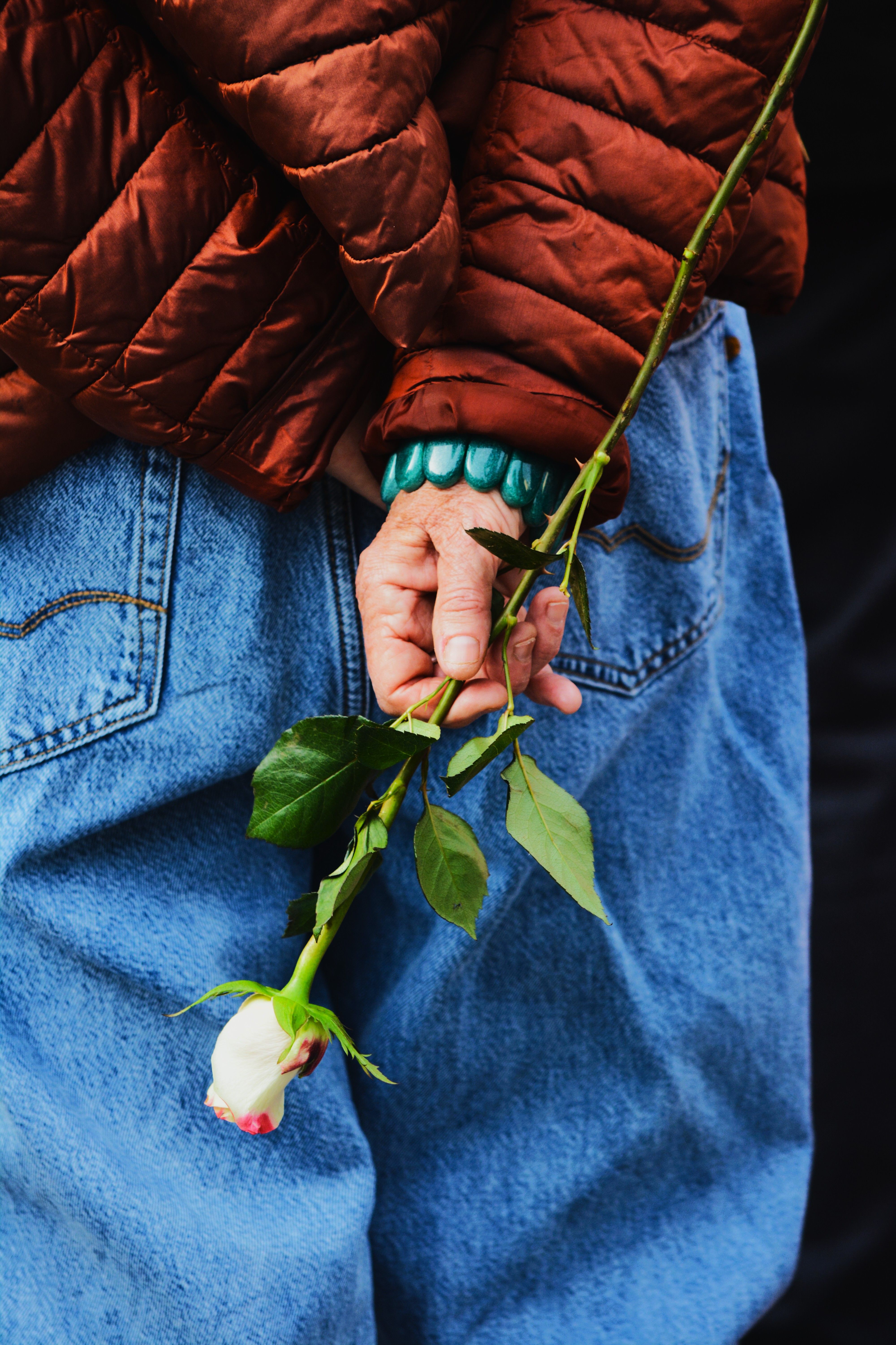 Elderly person holding a delicate white rose behind their back, symbolizing nostalgia.