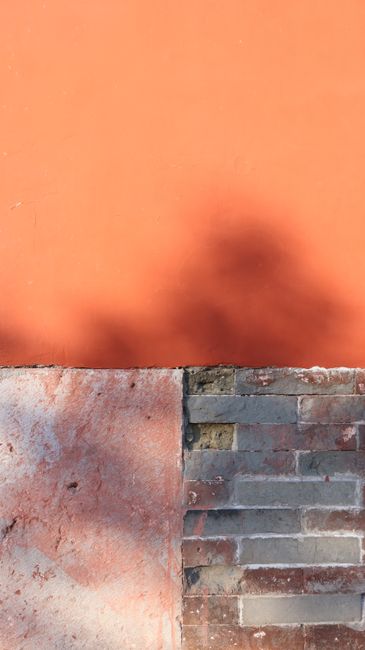 A textured brick and plaster wall with shadows under warm sunlight.