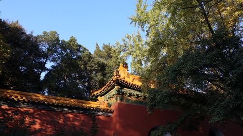Free Sunny day at a Chinese temple with ornate roof surrounded by lush greenery. Stock Photo