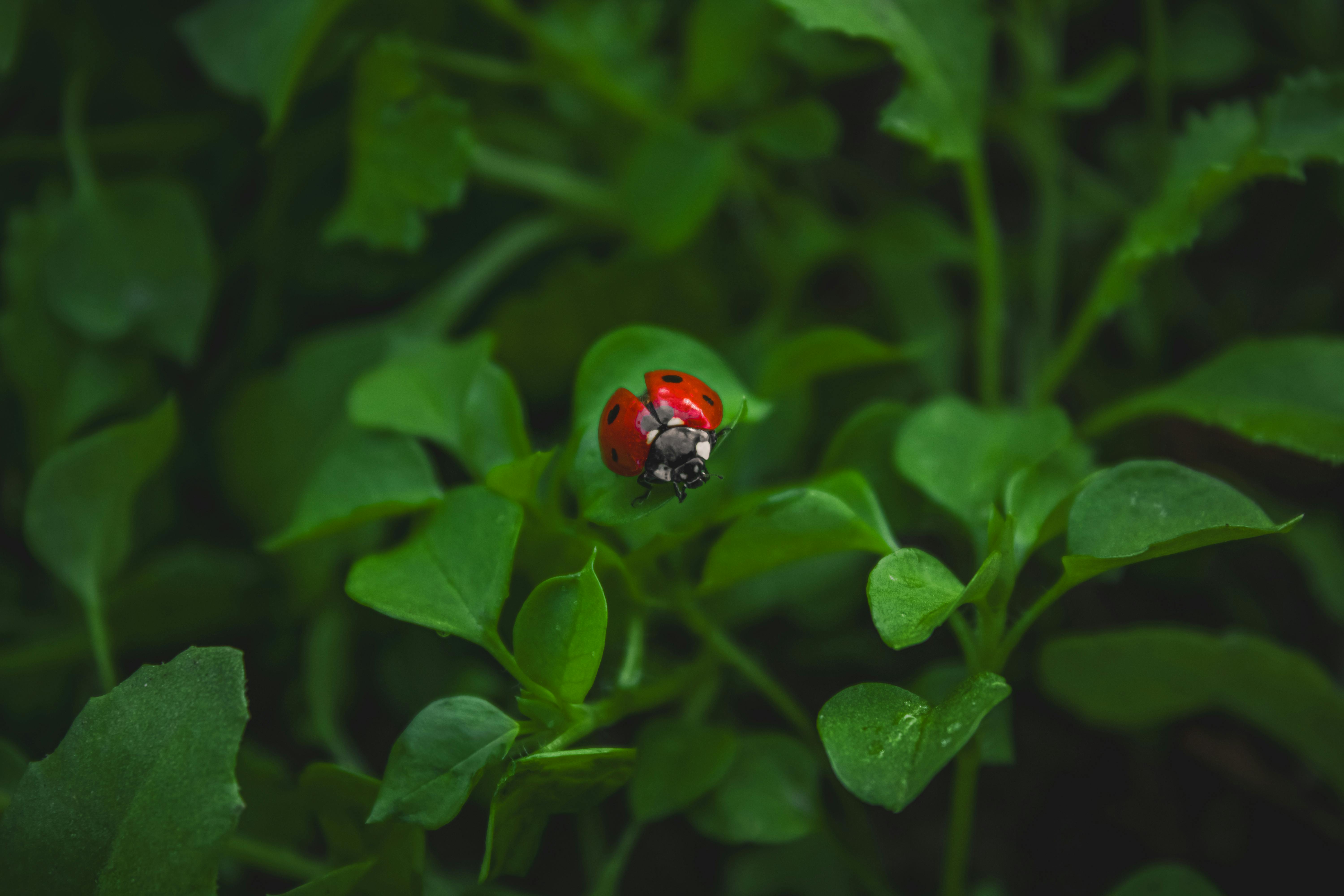 Top AI Powered Tools for Small Businesses